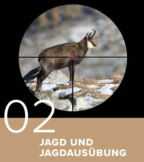 02 Jagd- und Jagdausführung
