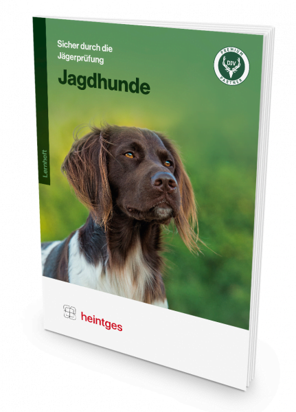 Mediamodifier Image 43 600x600