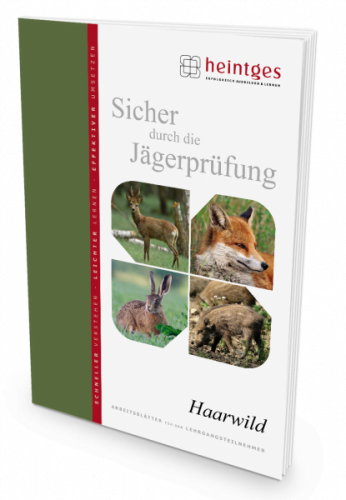 HaarwildU2225r2rlJeYK 416x600